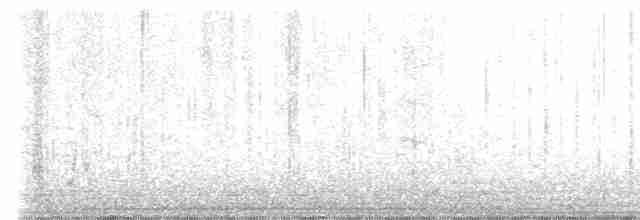 Мускусная утка (Одомашенного типа) - ML500622481