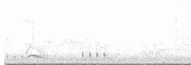 Spotless Crake - ML500698631