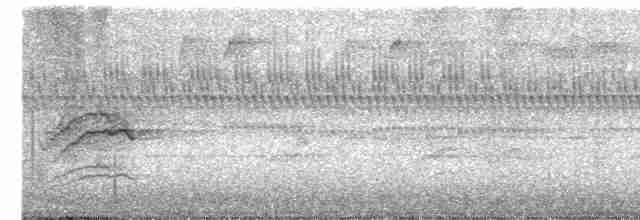 Дрізд-короткодзьоб плямистоволий - ML500795191