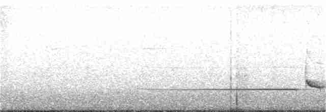 Brownish-flanked Bush Warbler - ML50080471