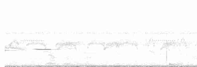 Grauband-Ameisenvogel - ML500864591
