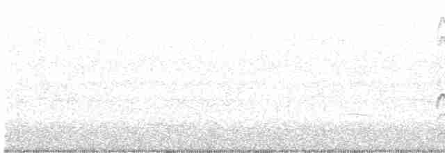 Дятел-смоктун жовточеревий - ML500897061