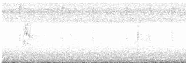 White-throated Crake - ML500924031