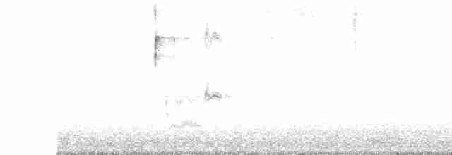 Loggerhead Shrike - ML500956141