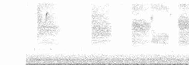 Loggerhead Shrike - ML500956421