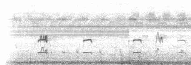 Slender-billed Flufftail - ML501101911