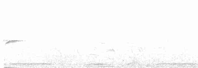 Пурпурногорлая эуфония - ML501171591