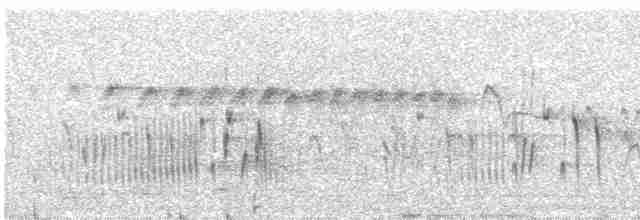 Серогрудый трескунчик - ML501207951
