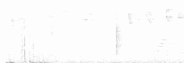 Boz Kuşaklı Yerçavuşu - ML501208121