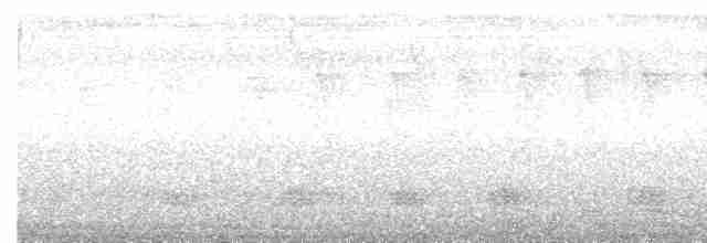 White-tailed Trogon - ML501225511
