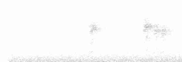 Rotbrust-Paradiesschnäpper [mutata-Gruppe] - ML501233121