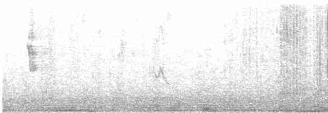 Колібрі-довгохвіст смарагдовий - ML501248011
