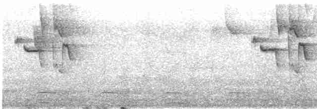Чешуегорлый колибри-отшельник - ML501268321