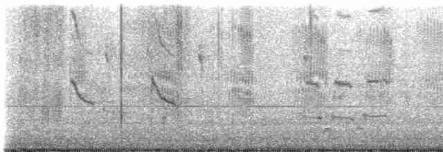 Loggerhead Shrike - ML501328821