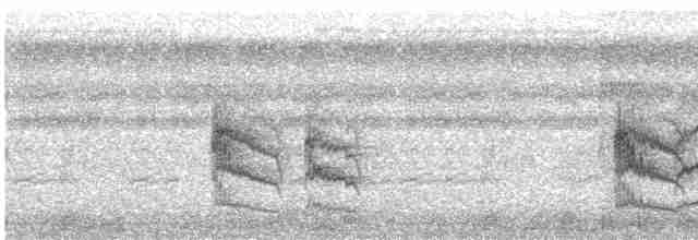 Сероголовый бентеви - ML501334081