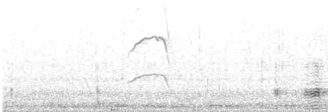 Ibis de Ridgway - ML501364561