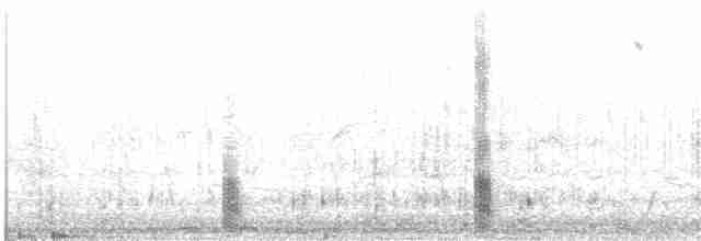 Андская лысуха - ML501364761