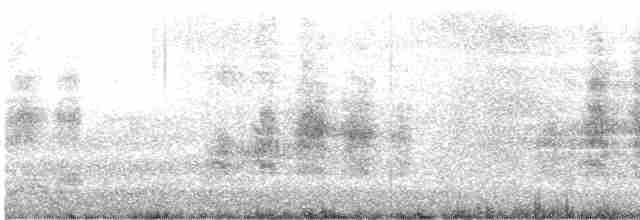 Short-tailed Shearwater - ML501418721
