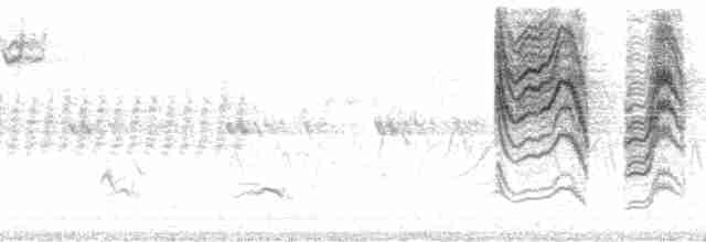 Blaumückenfänger [obscura-Gruppe] - ML50143