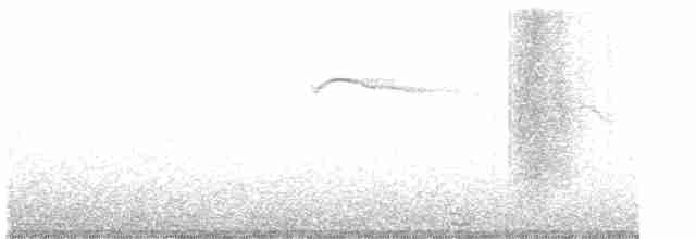 ハイイロアマツバメ - ML501526331