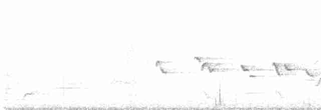 Flammenbrustschnäpper - ML501601061