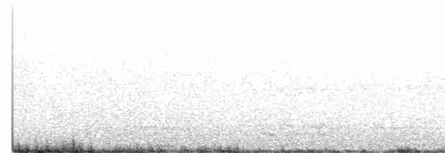 holub pestrokřídlý - ML501608431