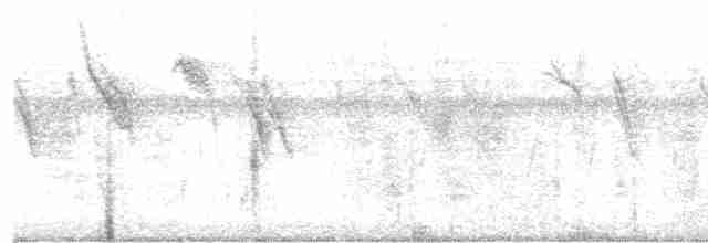 svarthodevever - ML501643441