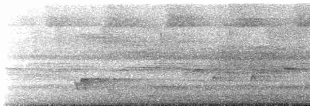 Streifenbrust-Ameisendrossel - ML501670051
