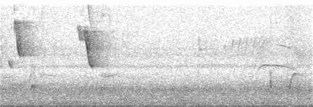 Кустарниковая танагра - ML50168371