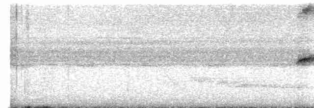 Grauscheitel-Ameisenvogel - ML501687541