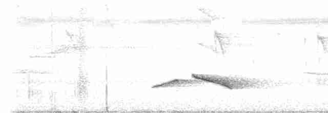 Puff-throated Babbler - ML501692801