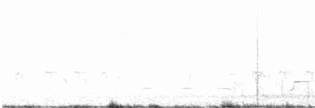 ornathonningeter - ML501693391