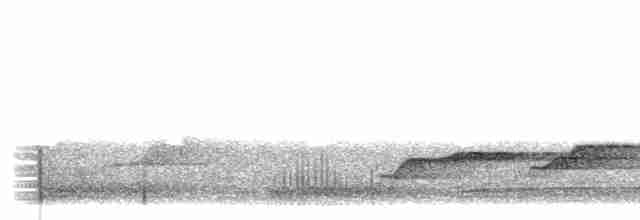 White-chested Babbler - ML501814321