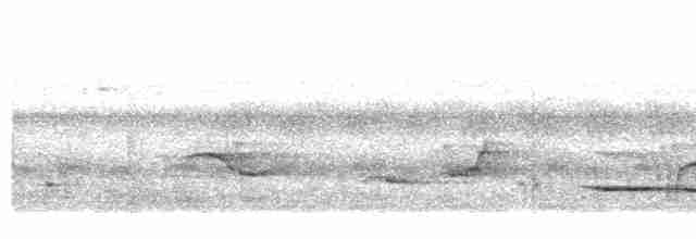 Grauschneidervogel - ML501821031
