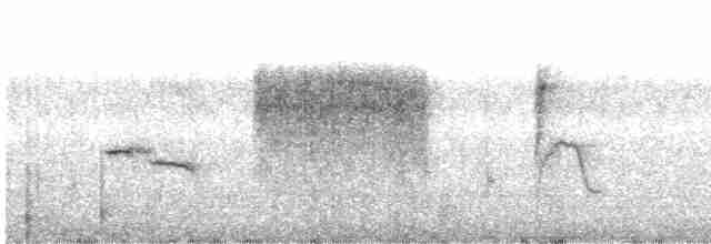Grass Wren (Paramo) - ML501863201