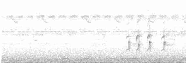 langhaleskredderfugl - ML501992721