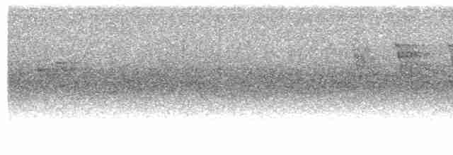 Краснохвостая нектарница - ML502002721