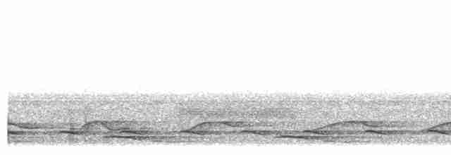 Борнейская лесная куропатка - ML502002771