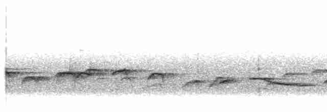 Mountain Wren-Babbler - ML502002811