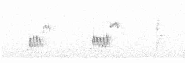 Iberian Gray Shrike - ML502003691