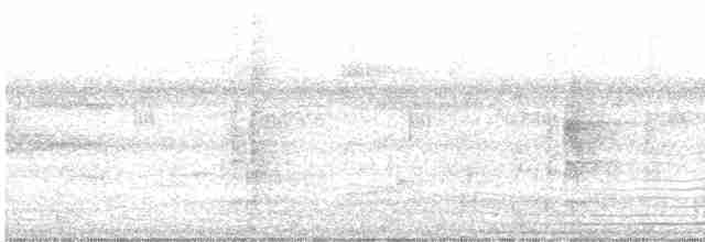 Мурав’янка-куцохвіст велика - ML502093741