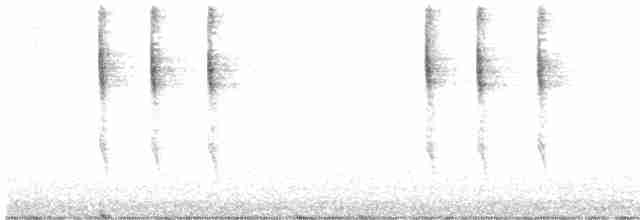 Troglodyte de Baird - ML502154901
