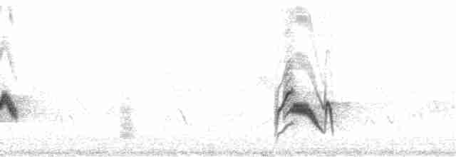 Weißstirnvireo (plumbeus/gravis) - ML50222