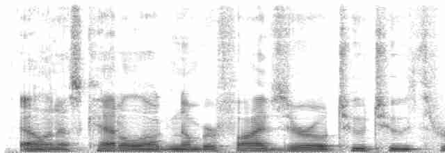 ML50223 visualization