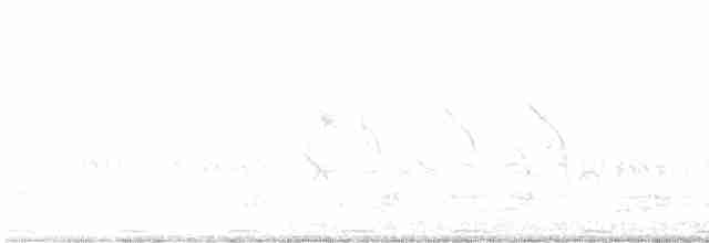 Хохлатая чубатка - ML502269441
