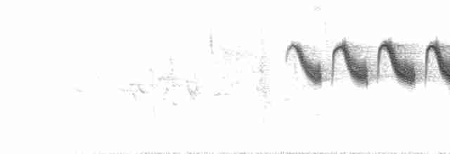 Пестрогорлая эресса - ML502288201