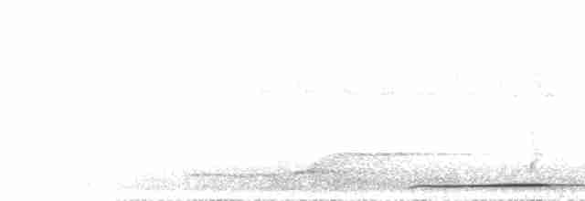 Namaqua Dove - ML502288411