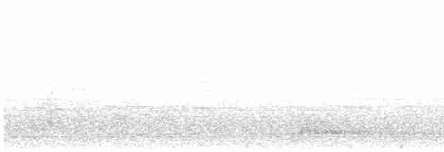 Black-capped Tinamou - ML502296431