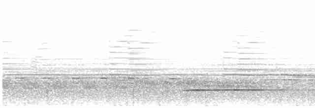 Tinamou de Bartlett - ML502300681