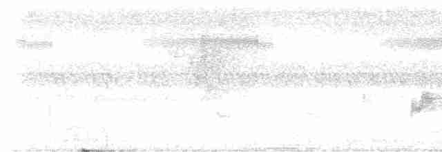White-cheeked Partridge - ML502316131